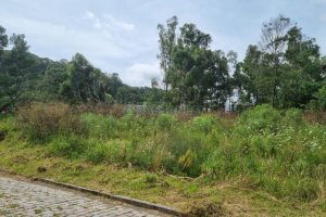 Terreno com 2412m², no bairro De Zorzi em Caxias do Sul para Comprar