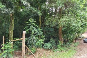 Terreno com 5000m², no bairro 3 Legua em Caxias do Sul para Comprar