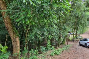 Terreno com 5000m², no bairro 3 Legua em Caxias do Sul para Comprar