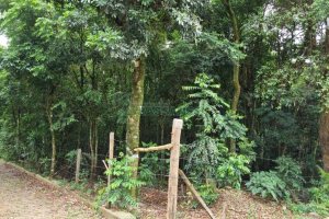 Terreno com 5000m², no bairro 3 Legua em Caxias do Sul para Comprar