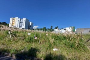Terreno com 360m², no bairro São Luiz em Caxias do Sul para Comprar