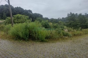 Terreno com 360m², no bairro Desvio Rizzo em Caxias do Sul para Comprar
