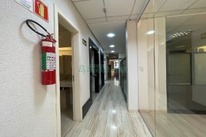 Sala Mobiliada com 297m², 2 vagas, no bairro Sanvitto em Caxias do Sul para Alugar