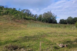Chácara, no bairro 3 Legua em Caxias do Sul para Comprar