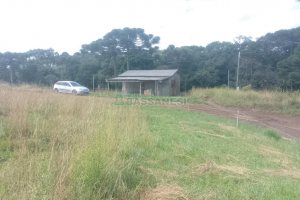 Chácara, no bairro Vila Seca em Caxias do Sul para Comprar