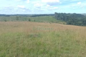 Chácara, no bairro Vila Seca em Caxias do Sul para Comprar