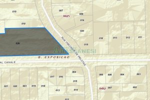 Terreno, no bairro Centro em Caxias do Sul para Comprar