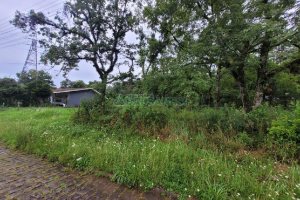 Terreno com 746m², no bairro Colina Sorriso em Caxias do Sul para Alugar ou Comprar