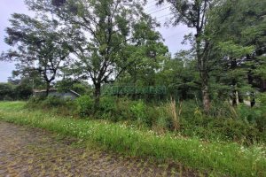 Terreno com 746m², no bairro Colina Sorriso em Caxias do Sul para Alugar ou Comprar