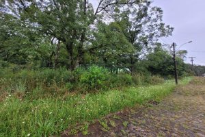 Terreno com 746m², no bairro Colina Sorriso em Caxias do Sul para Alugar ou Comprar