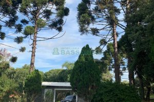 Chácara com 218m², 3 dormitórios, no bairro Pedancino em Caxias do Sul para Comprar