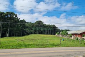 Chácara, no bairro Samuara em Caxias do Sul para Comprar