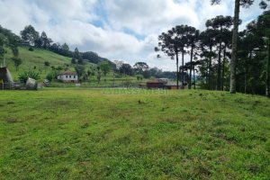 Chácara, no bairro Samuara em Caxias do Sul para Comprar