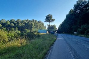 Chácara, no bairro Ana Rech em Caxias do Sul para Comprar