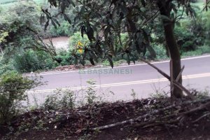 Chácara, 2 dormitórios, no bairro Interior em Caxias do Sul para Comprar