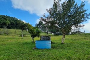 Chácara, no bairro São Giácomo em Caxias do Sul para Comprar