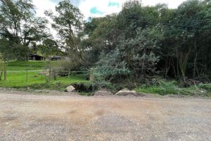Chácara com 350m², no bairro Fazenda Souza em Caxias do Sul para Comprar