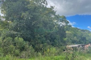 Chácara com 350m², no bairro Fazenda Souza em Caxias do Sul para Comprar