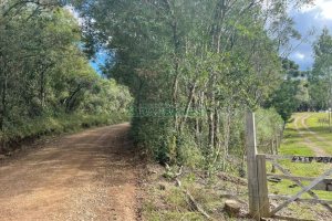 Chácara com 350m², no bairro Fazenda Souza em Caxias do Sul para Comprar