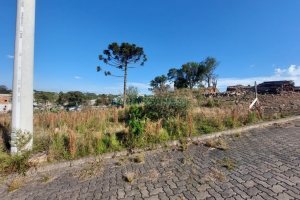 Terreno com 2531m², no bairro São Ciro em Caxias do Sul para Comprar