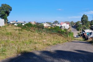 Terreno com 2531m², no bairro São Ciro em Caxias do Sul para Comprar