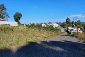 Terreno com 2531m², no bairro São Ciro em Caxias do Sul para Comprar