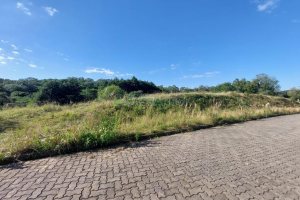 Terreno com 10000m², no bairro São Ciro em Caxias do Sul para Comprar