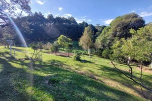 Terreno com 10000m², no bairro São Ciro em Caxias do Sul para Comprar