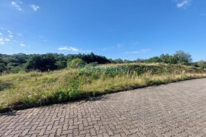 Terreno com 10000m², no bairro São Ciro em Caxias do Sul para Comprar