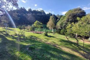 Terreno com 10000m², no bairro São Ciro em Caxias do Sul para Comprar