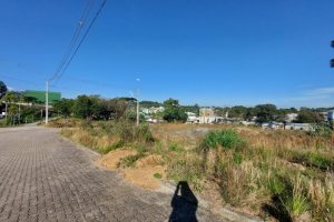 Terreno com 2807m², no bairro São Ciro em Caxias do Sul para Comprar