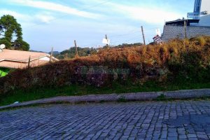 Terreno com 425m², no bairro Cruzeiro em Caxias do Sul para Comprar