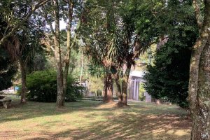 Chácara, no bairro Pedancino em Caxias do Sul para Comprar