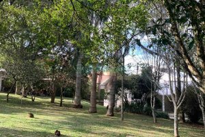 Chácara, no bairro Pedancino em Caxias do Sul para Comprar