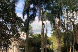 Chácara, no bairro Pedancino em Caxias do Sul para Comprar