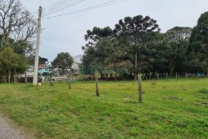 Terreno com 2300m², no bairro São Ciro em Caxias do Sul para Comprar
