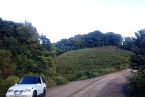 Chácara, no bairro Monte Bérico em Caxias do Sul para Comprar