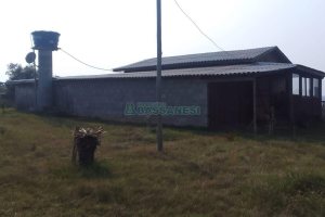 Chácara com 100m², 3 dormitórios, no bairro Criúva em Caxias do Sul para Comprar