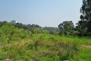 Terreno com 360m², no bairro Sanvitto em Caxias do Sul para Comprar