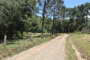 Chácara, no bairro Pedras Brancas em São Marcos para Comprar