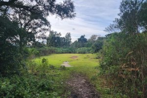 Terreno com 50544m², no bairro Salgado Filho em Caxias do Sul para Comprar