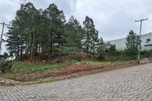 Terreno com 1575m², no bairro São Giácomo em Caxias do Sul para Comprar