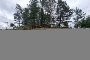 Terreno com 1575m², no bairro São Giácomo em Caxias do Sul para Comprar