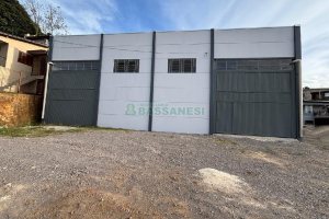 Pavilhão com 600m², no bairro São Ciro em Caxias do Sul para Alugar