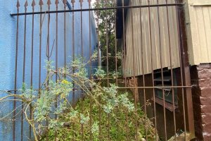 Casa com 45m², 2 dormitórios, no bairro Rio Branco em Caxias do Sul para Comprar