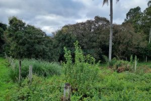 Terreno, no bairro Vila Verde em Caxias do Sul para Comprar