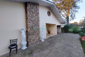 Casa Comercial com 500m², 4 dormitórios, 1 vaga, no bairro São Luiz em Caxias do Sul para Alugar