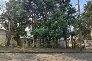 Predio com 669m², no bairro Salgado Filho em Caxias do Sul para Alugar