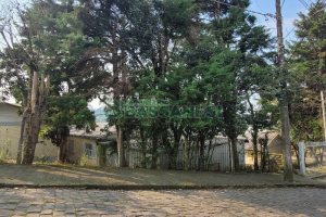 Predio com 669m², no bairro Salgado Filho em Caxias do Sul para Alugar