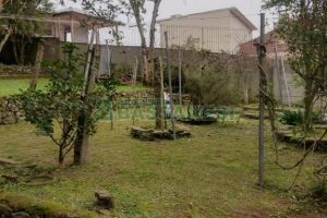 Casa, 8 dormitórios, no bairro São Pelegrino em Caxias do Sul para Comprar